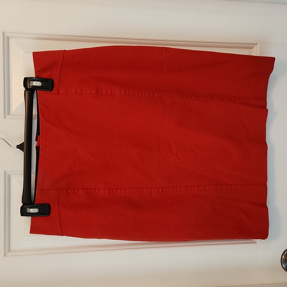 Ann Taylor skirt